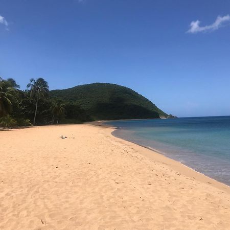Villa Coco Caraibes Deshaies Eksteriør billede