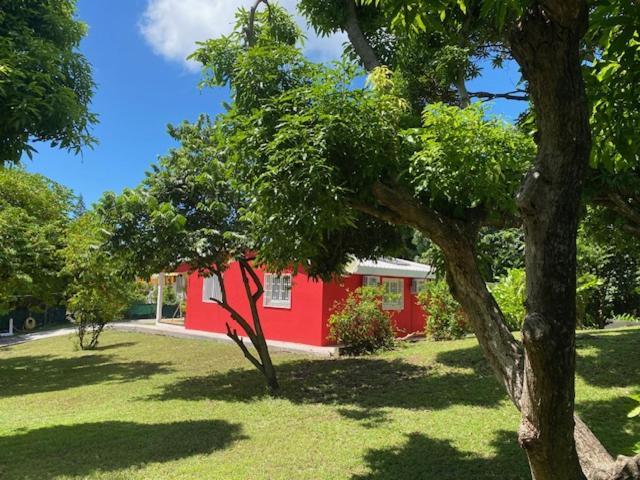 Villa Coco Caraibes Deshaies Eksteriør billede