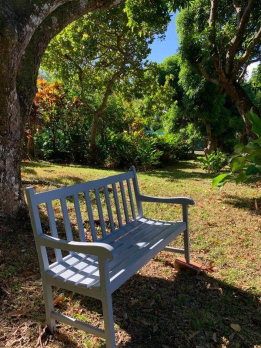 Villa Coco Caraibes Deshaies Eksteriør billede